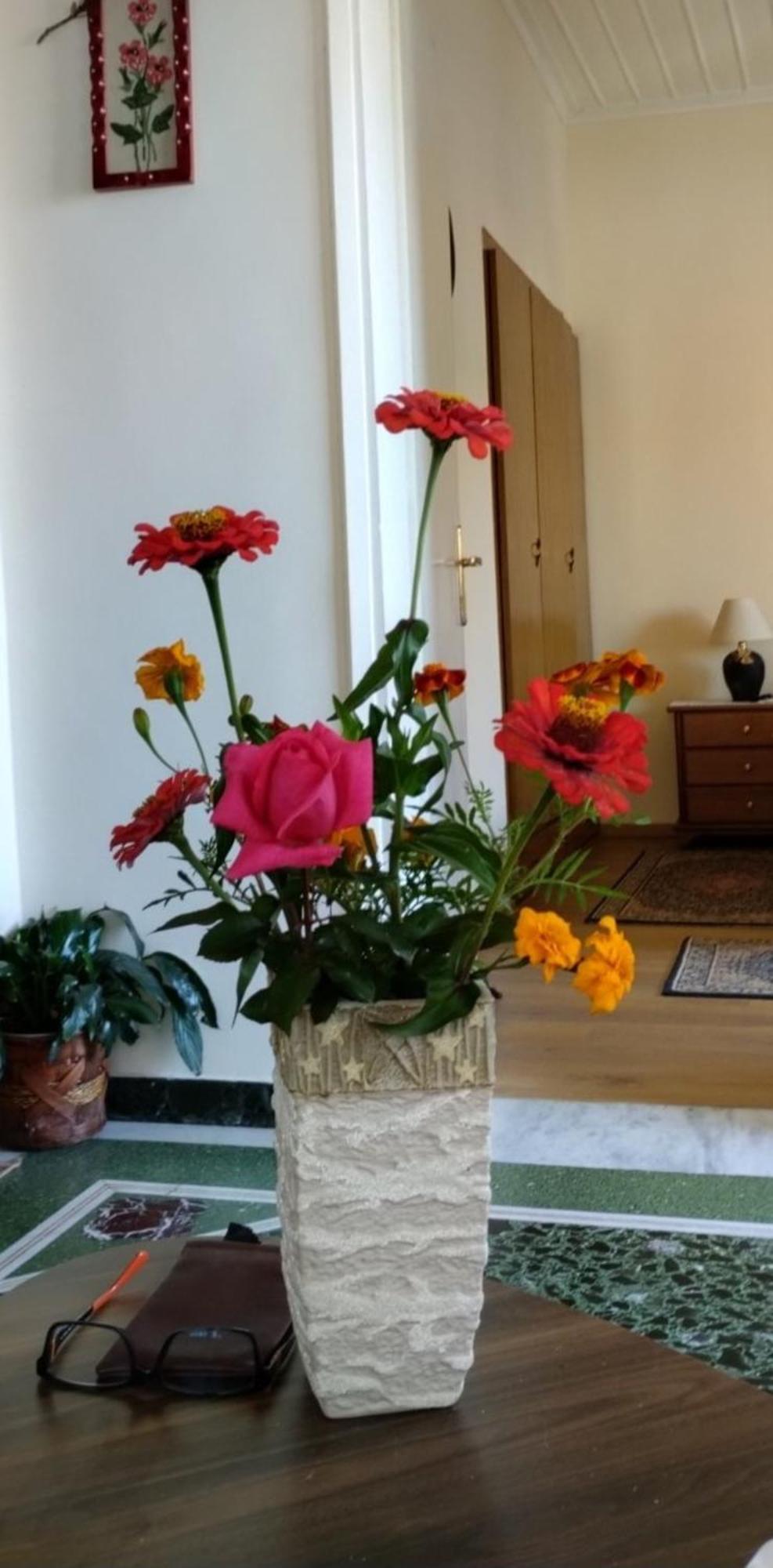 Tanias Apartment Siatista Dış mekan fotoğraf
